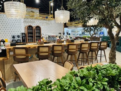 The White Sheep photo 1