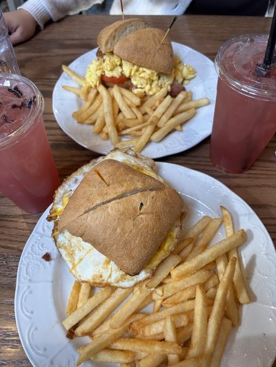 The White Sheep photo 5